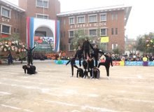 0C9A0196-scaled